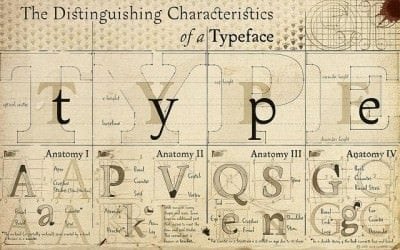corporate typefaces - cheques